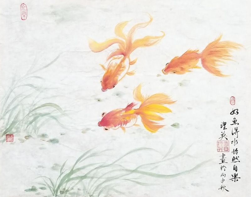 Goldfish in Still Water — Lii Ying Chen